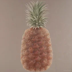 Ananas, 2012 (akryl på duk)
